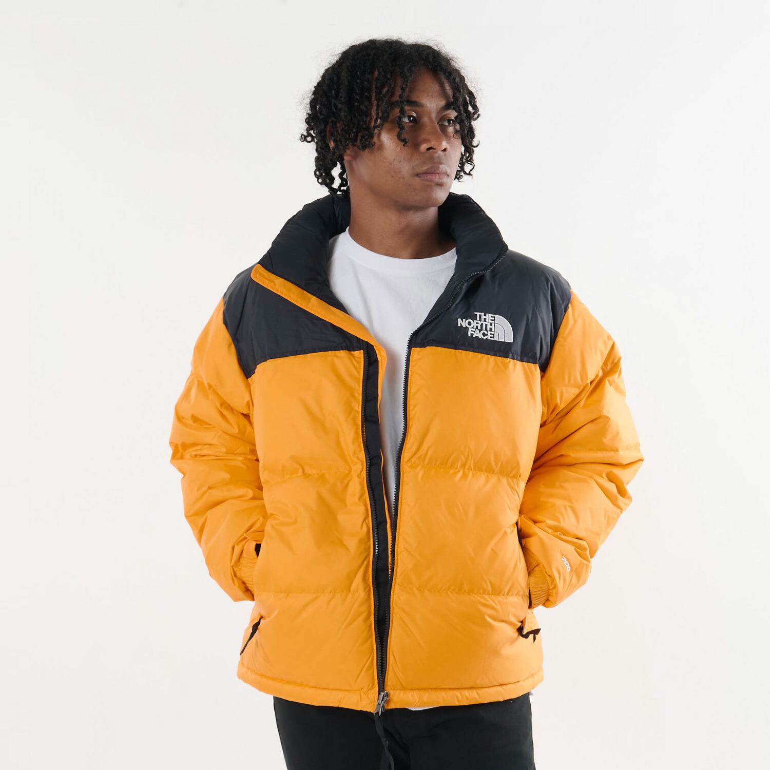 楽天市場】【最大1000円OFFクーポン発行中】 THE NORTH FACE MENS 1996