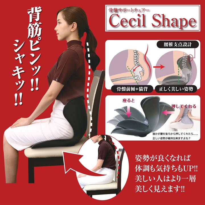 楽天市場】訳あり アウトレット B 骨盤 サポートチェア セシルシェイプ