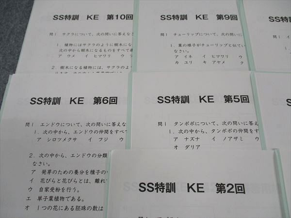 wk04img_0978_r.jpg