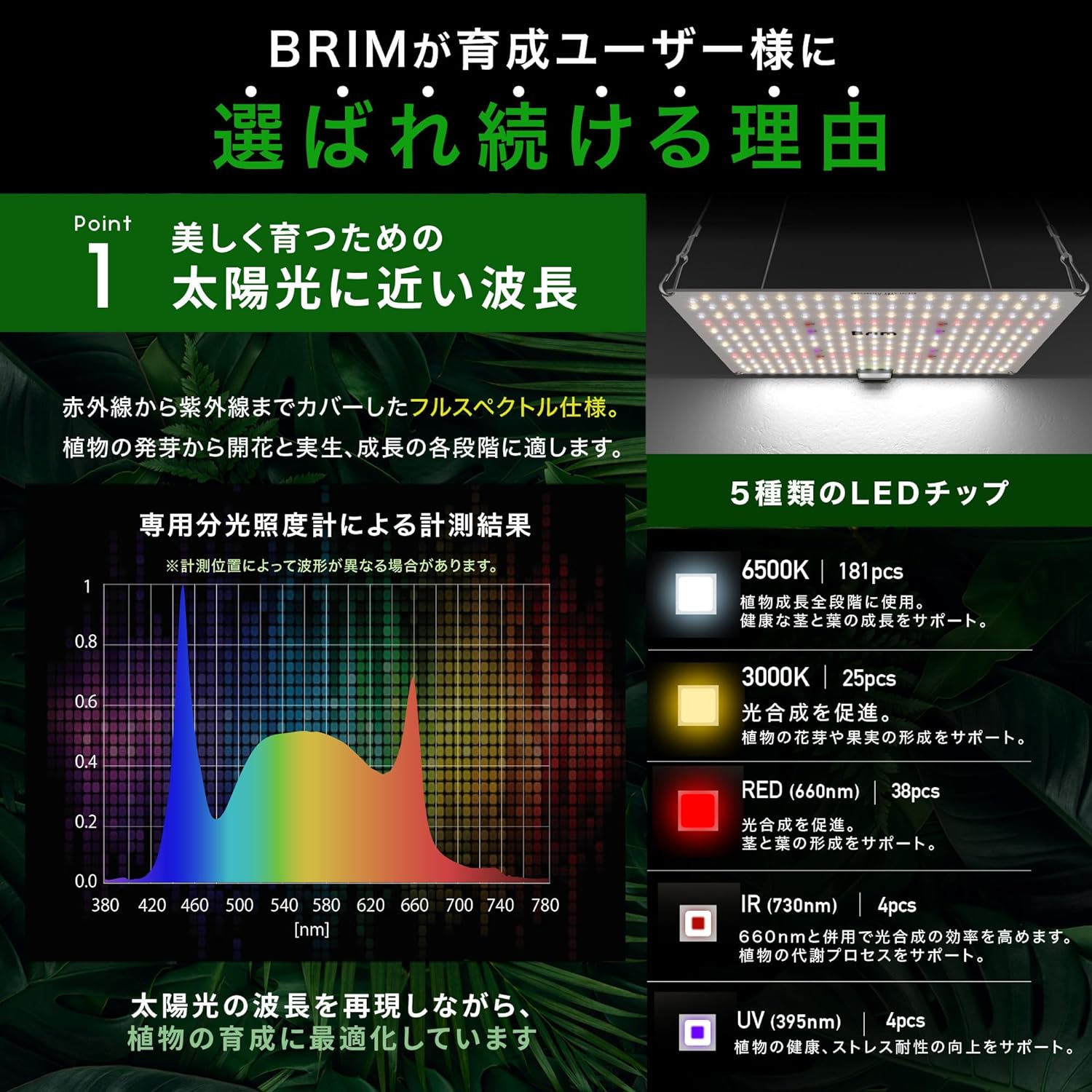 楽天市場】BRIM(ブリム) 公式店 楽天ランキング1位獲得【2枚セット