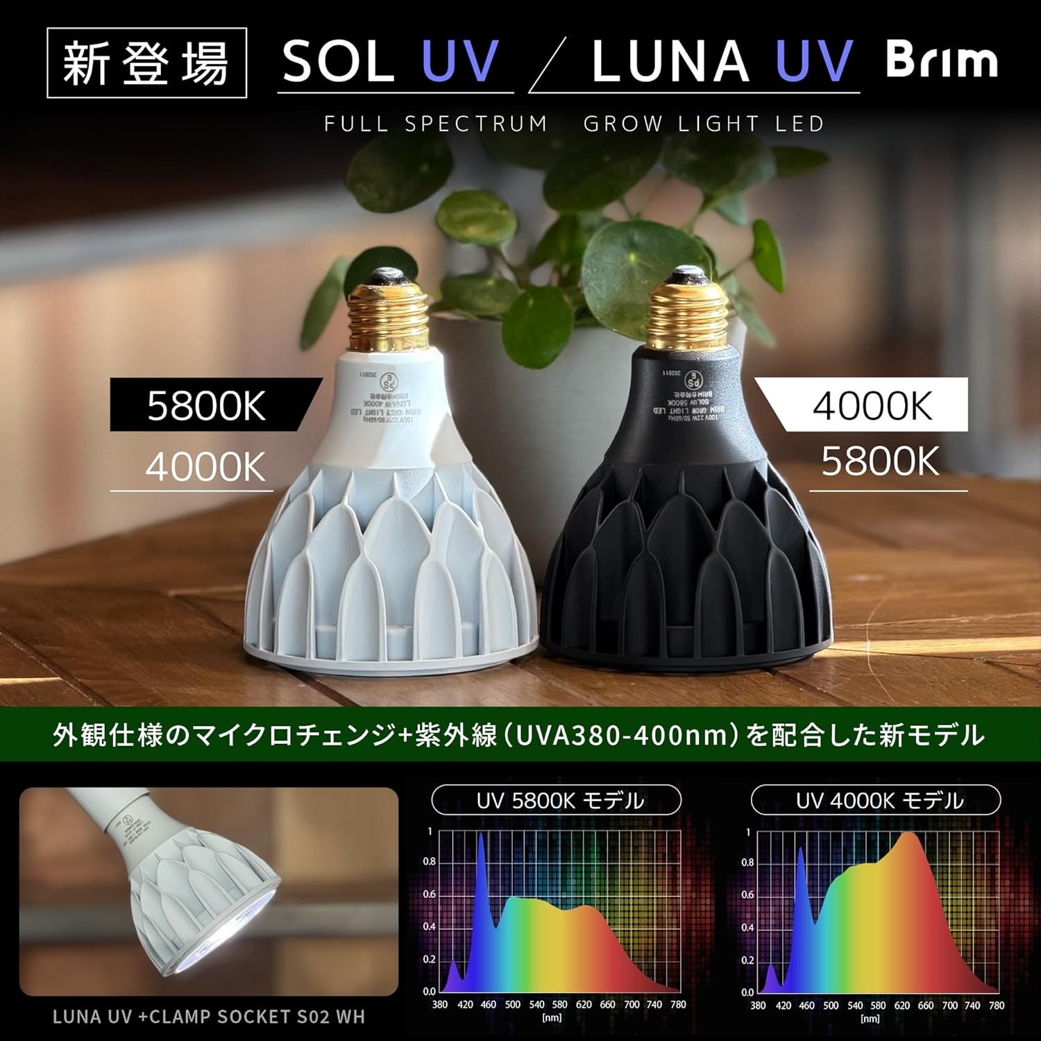 楽天市場】【マラソン期間全品Pt5倍!】BRIM(ブリム) 公式店 SOL 24W