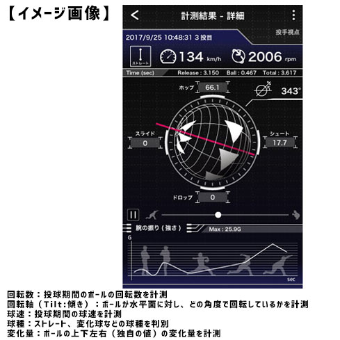 楽天市場】【3連休も毎日出荷】 【当店限定6ヶ月保証】 SSK エスエス