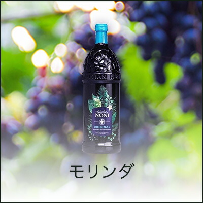 楽天市場】ワールドレップサービス アースボール W ローション 75mL