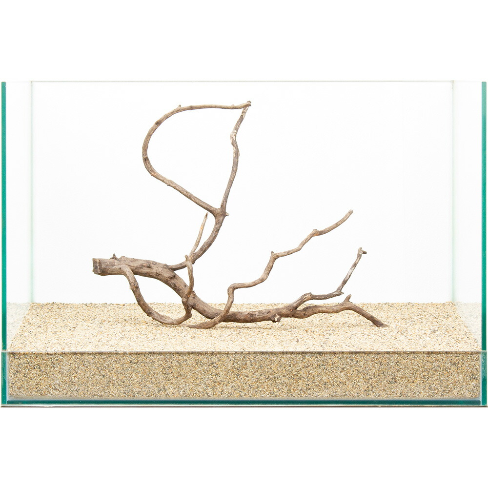 楽天市場】流木 一点物の通販