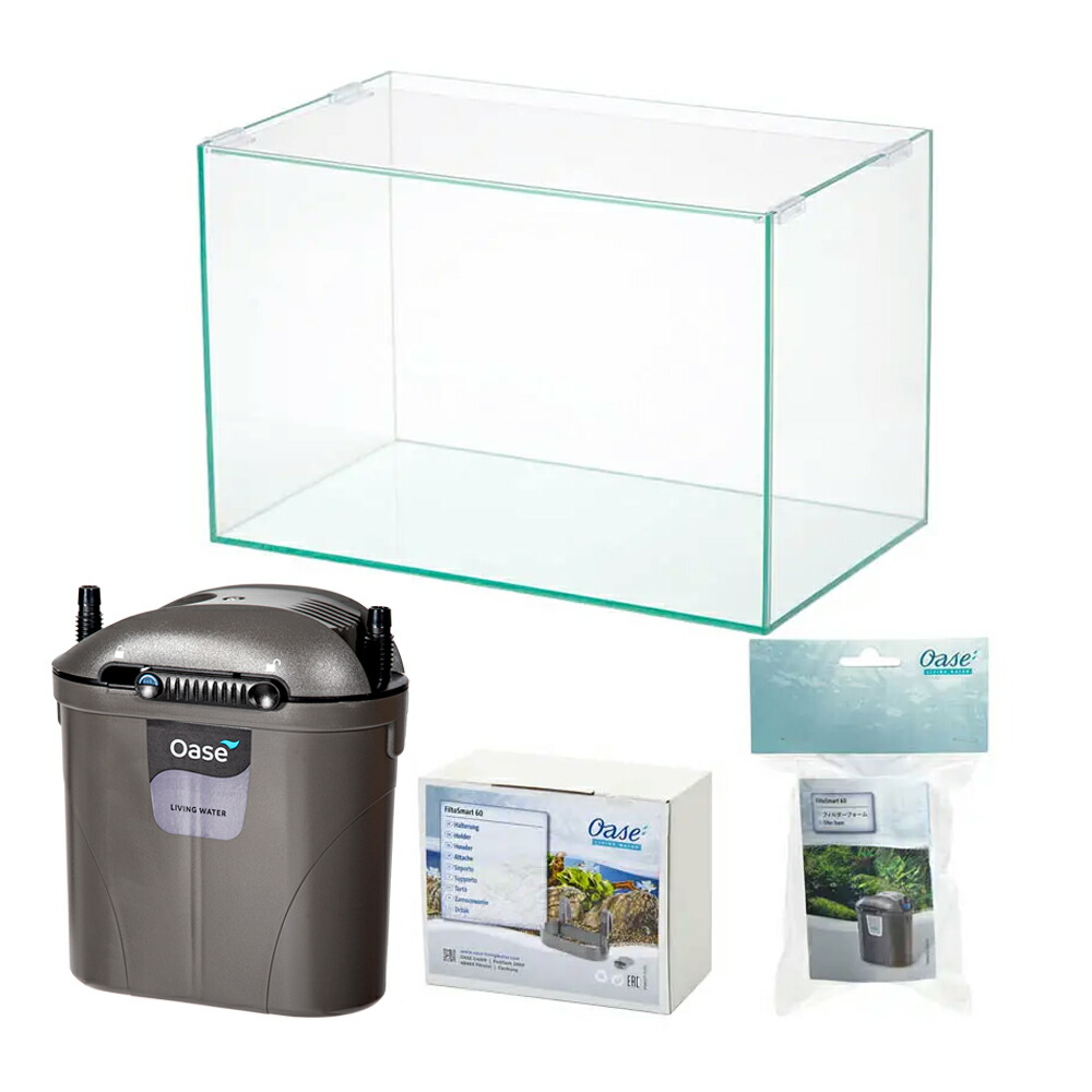 楽天市場】Ada（熱帯魚・アクアリウム｜ペット・ペットグッズ）の通販