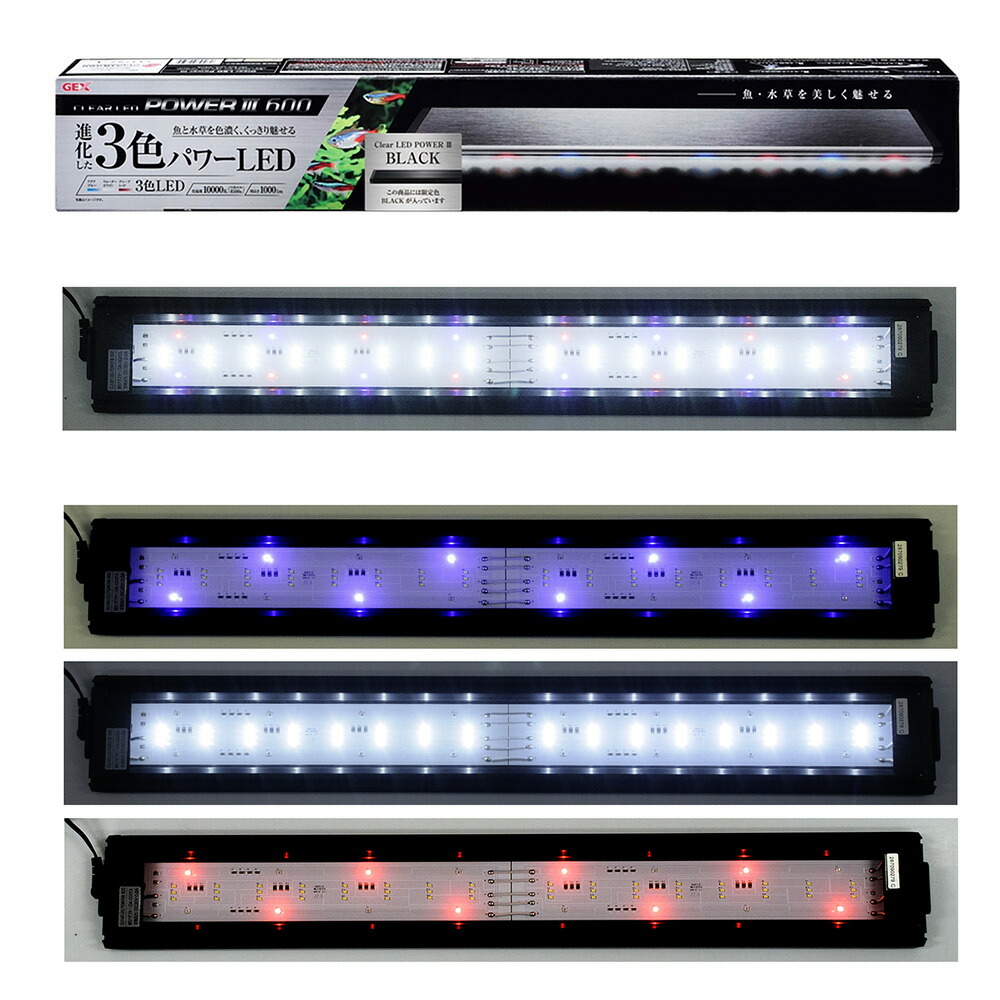 楽天市場】GEX クリアLEDパワー3 600 ブラック 60cm水槽