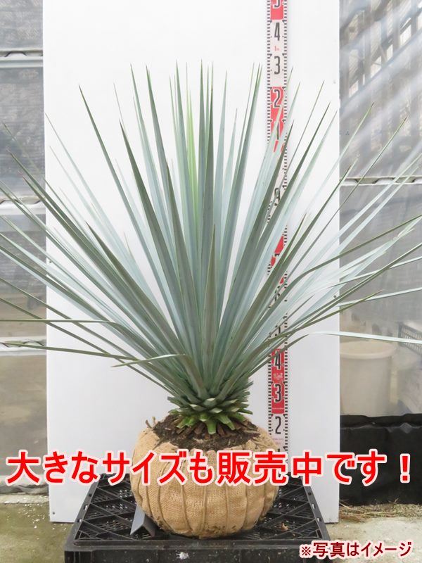 imgrc0108751534.jpg