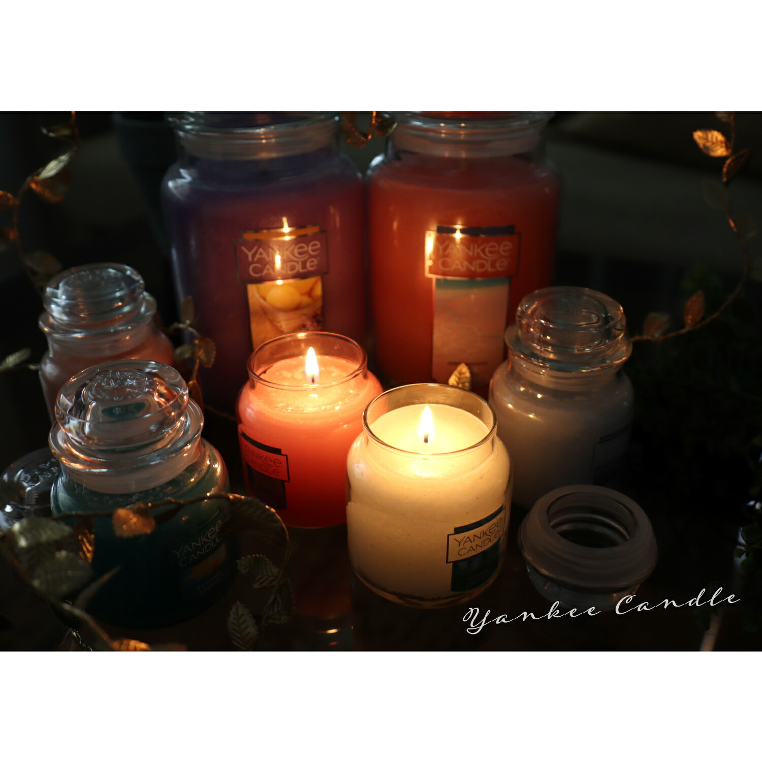 楽天市場】ヤンキーキャンドル YANKEE CANDLE キャンドル ジャーL