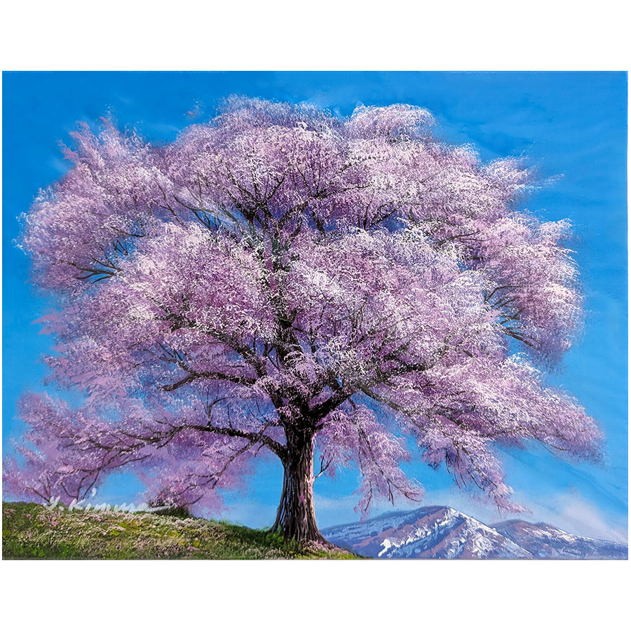楽天市場】☆ 油彩画 F6号 木村由記夫 「王仁塚の桜（わに塚のさくら