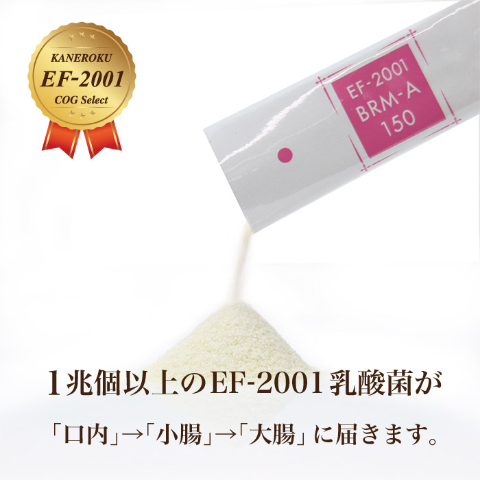 楽天市場】ベルムア150 50包パック EF-2001株乳酸菌 腸活 美腸 オマケ
