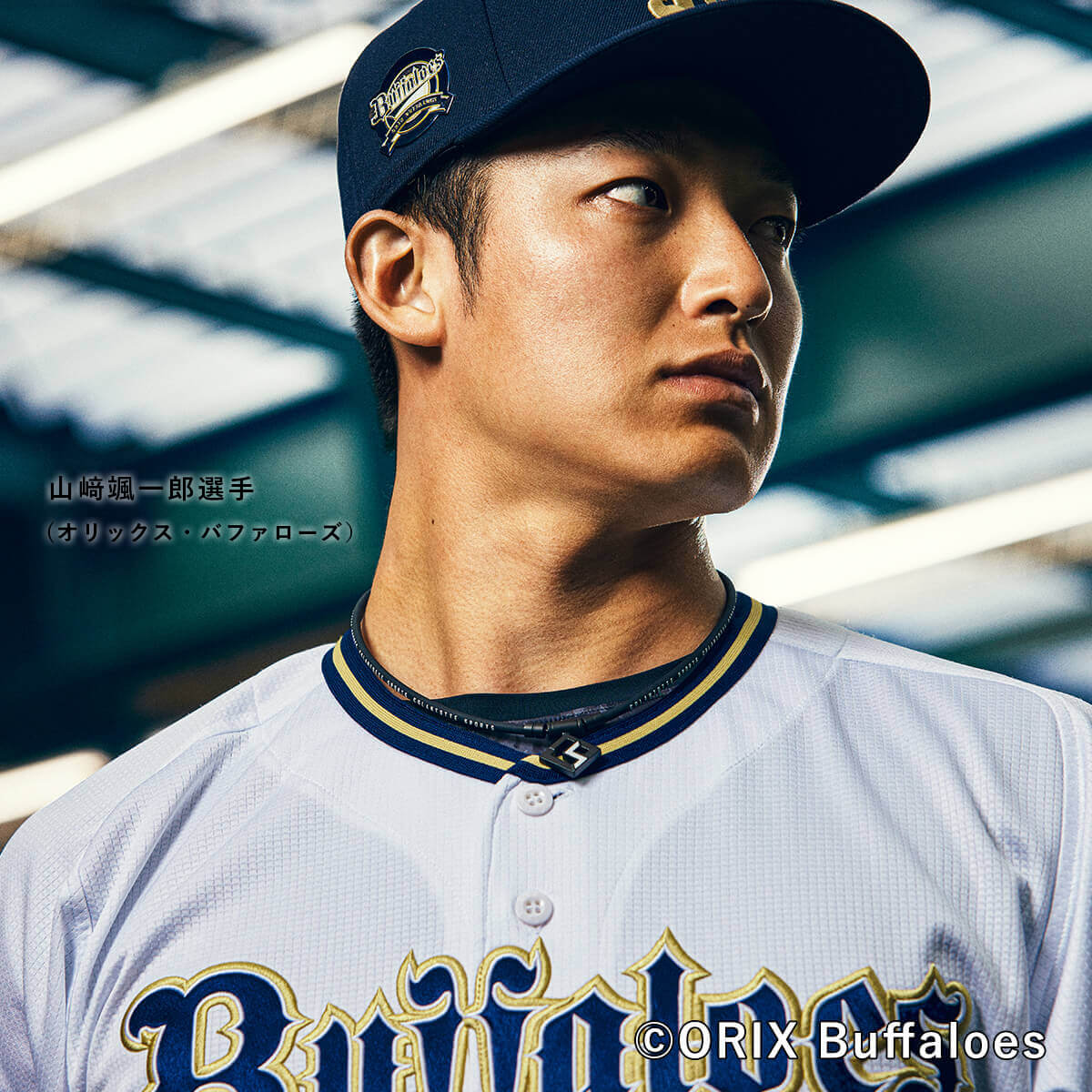 楽天市場】【公式店P10倍】コラントッテ SPORTS PRO マグチタン