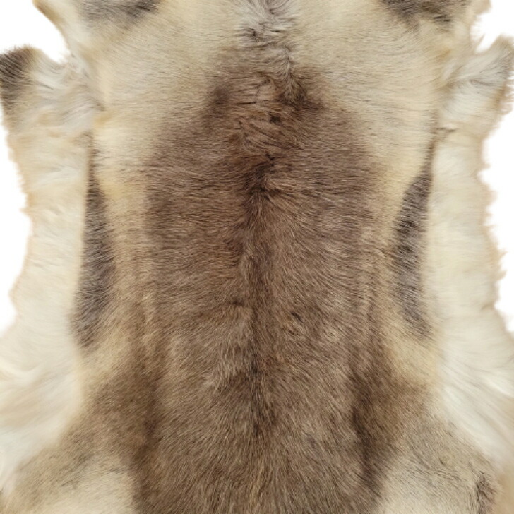 楽天市場】中サイズ/大サイズ/特大サイズ【フィンランド ラップランド