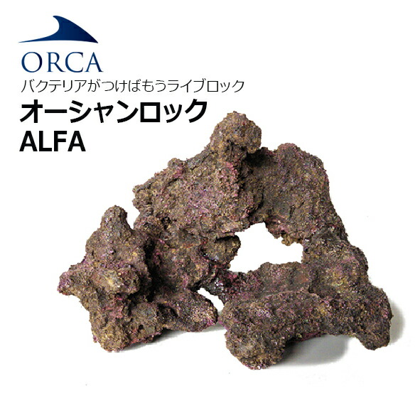 楽天市場】バクテリアがつけばもう ライブロック！ORCA OCEAN ROCK