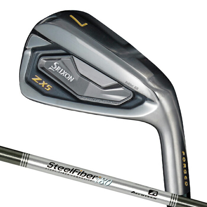 スリクソンZX5 MKII 5-9 P 6本set DG DST S200