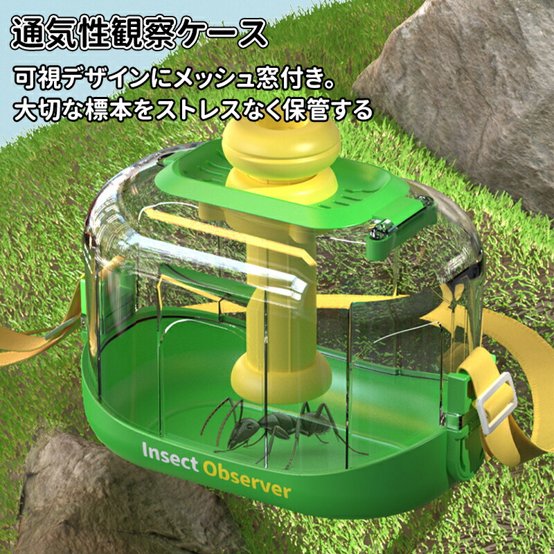 楽天市場】＼5倍ポイント／虫かご 昆虫ケース 飼育ケース 昆虫 観察