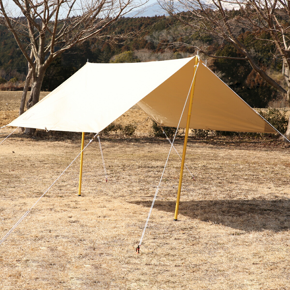 楽天市場】【ポイント5倍 2/20】ノルディスク Nordisk ミニタープ