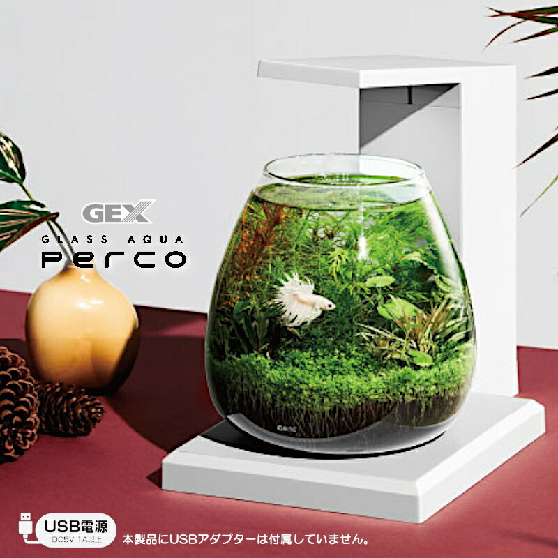 ガラス水槽セット