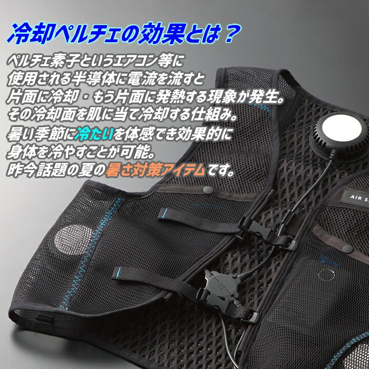 楽天市場】【全品5%OFFクーポン☆8h限定2/22】【即日発送】ペルチェ