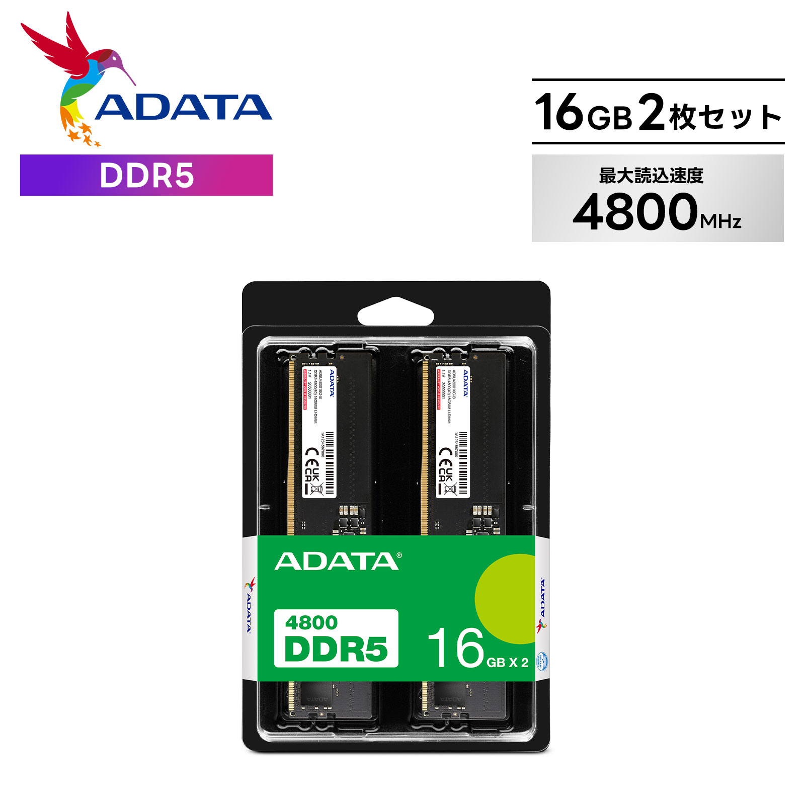 楽天市場】プリンストン 増設メモリ 8GB DDR5 4800MHz PC5-4800 CL40