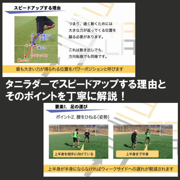谷 真一郎監修 タニラダー ジュニア用 DVD付 公式】タニラダー販売