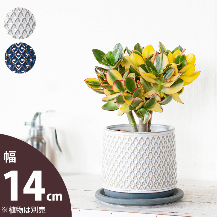 楽天市場】【おしゃれな植木鉢】ツヤ感、模様もGoodな陶器鉢（14cm