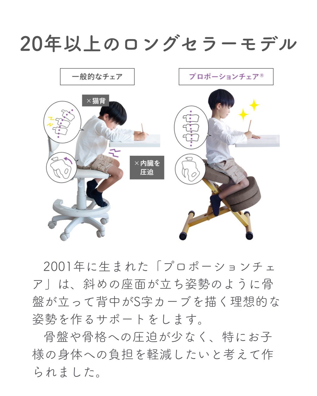 楽天市場】プロポーションチェア カバー付き 補助クッション 有/無 幅