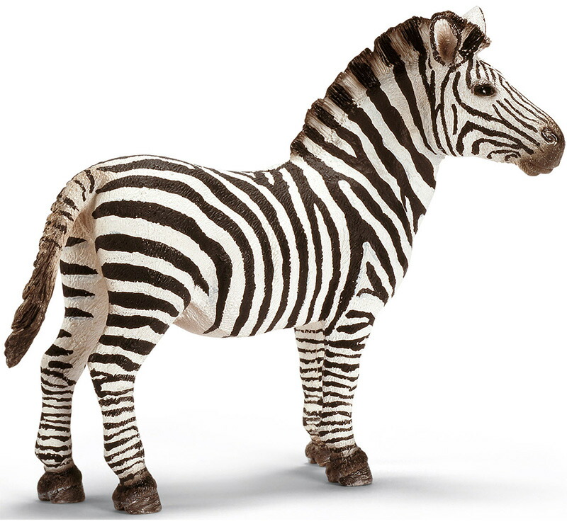 楽天市場】シュライヒ 動物フィギュア シマウマ オス 14391【Schleich