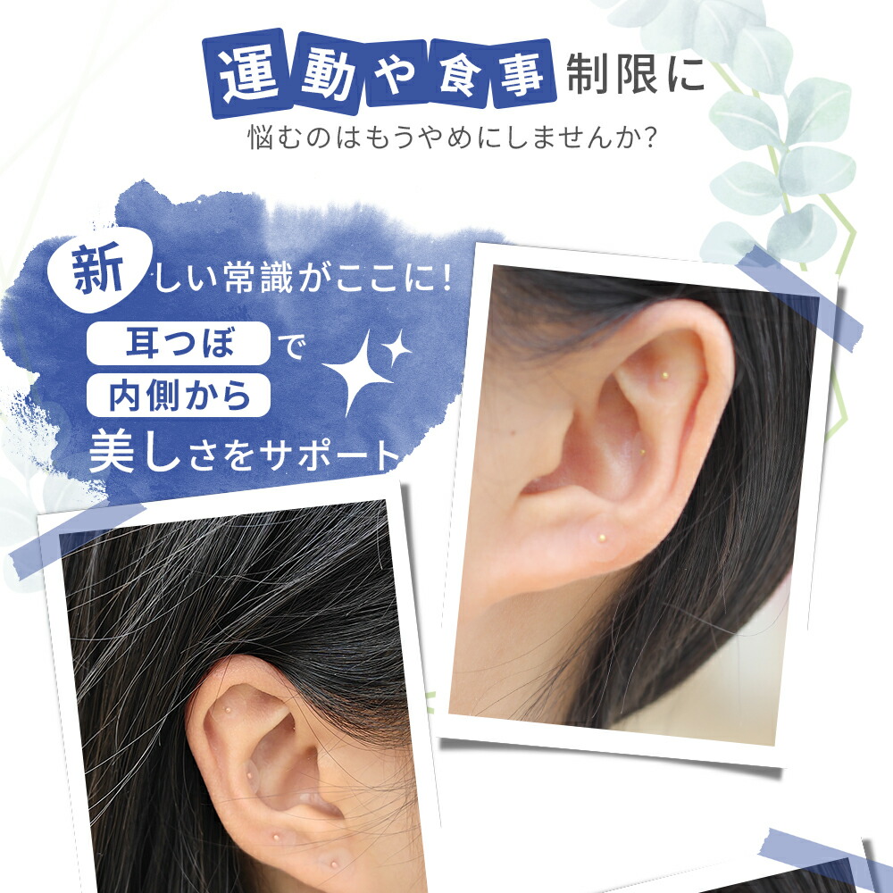 楽天市場】【新店特典☆期間限定P10倍！】耳つぼシール 耳つぼ