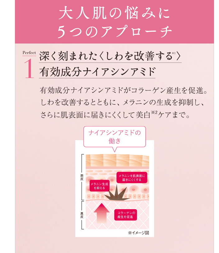 楽天市場】【ポイント最大38倍！600円OFFクーポン配布中】美・皇潤