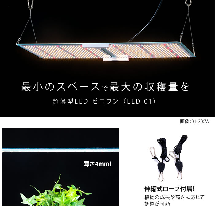 楽天市場】【在庫限りで廃盤】水耕栽培 植物育成灯 ソダテック 超薄型
