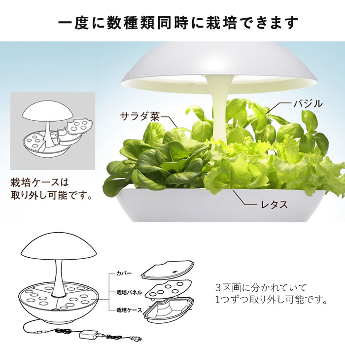楽天市場】水耕栽培キット LED 室内 水耕栽培 おしゃれ 家庭菜園
