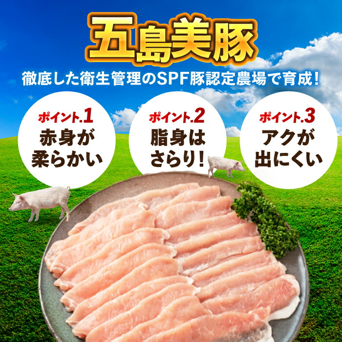 楽天市場】【ふるさと納税】五島美豚 美豚ちゃん300g×5/10個セット