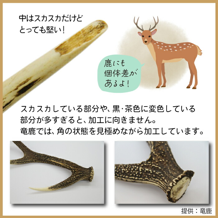 楽天市場】【ふるさと納税】 鹿角 おすすめ 鹿の角 ペーパーナイフ 小
