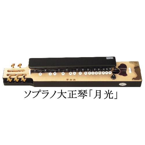 楽天市場】琴伝流の通販