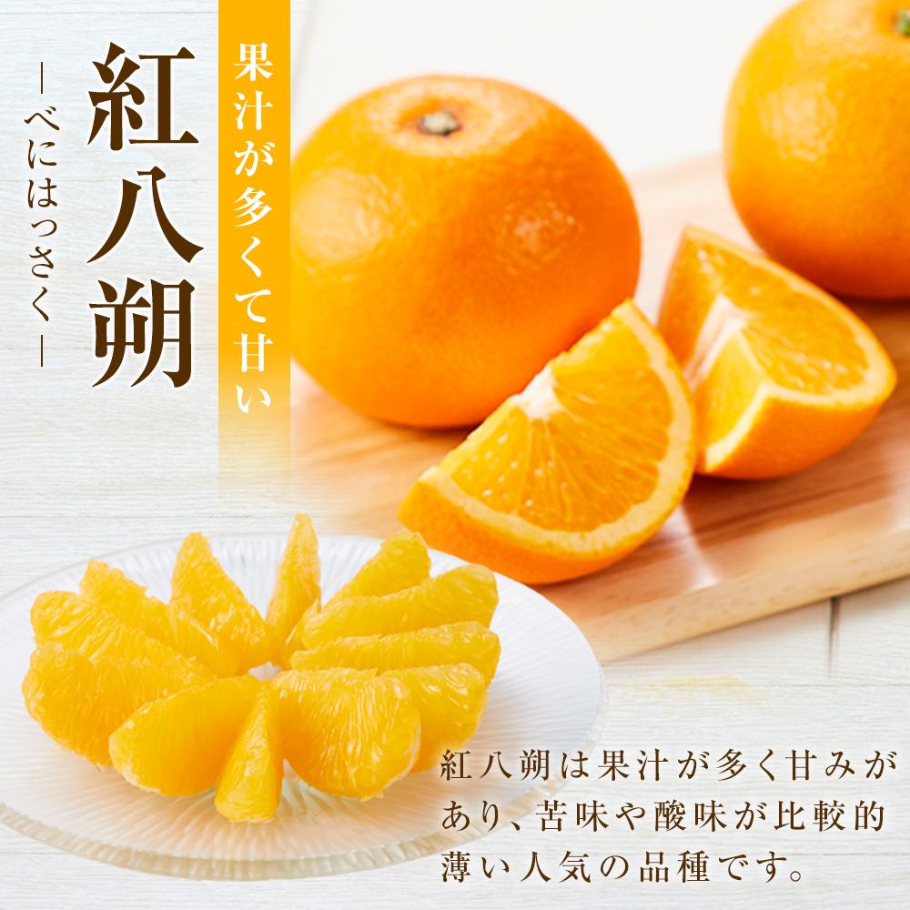 楽天市場】【ふるさと納税】しまの八朔セット約8kg（Mサイズ程度 約30