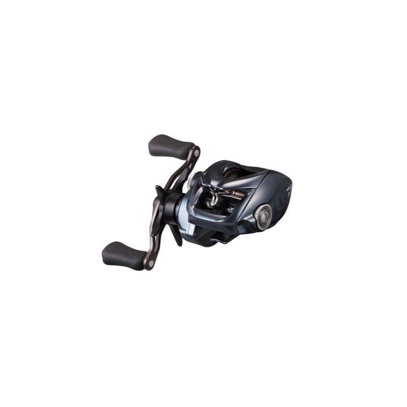 ダイワ タトゥーラ SV TW 100 (リール) 価格比較 - 価格.com