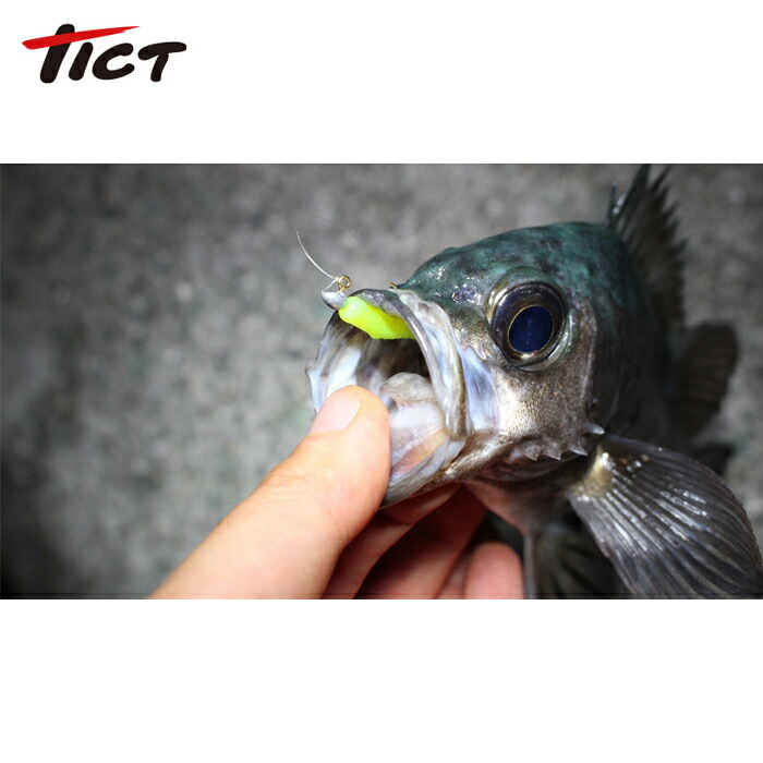 楽天市場】TICT tict ティクト メタボブリリアント 1.5インチ ワーム