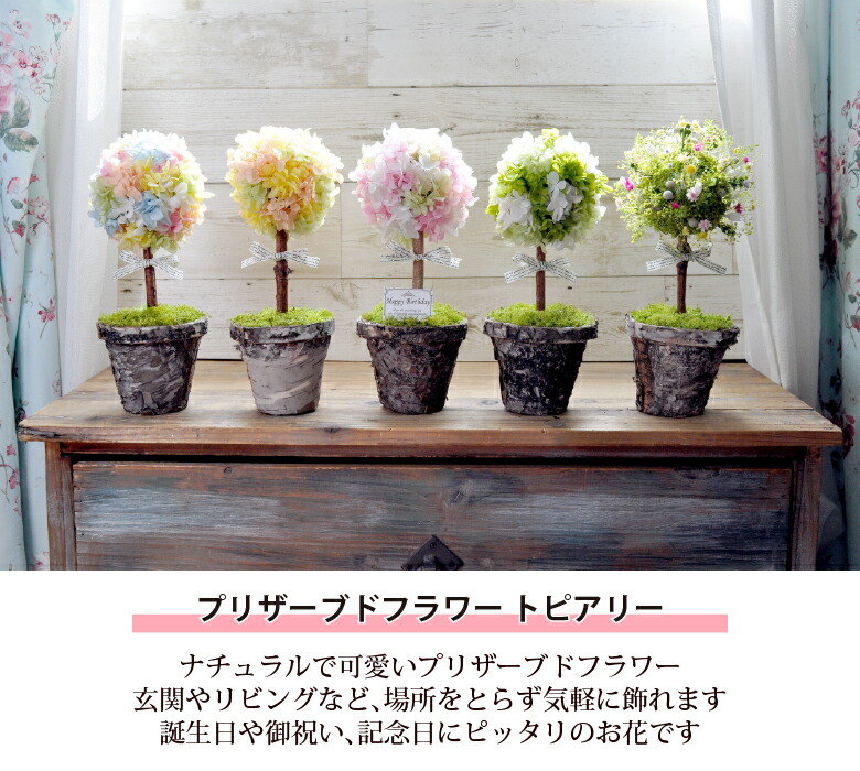 楽天市場】送料無料 プリザーブドフラワー 花 トピアリー／母の日