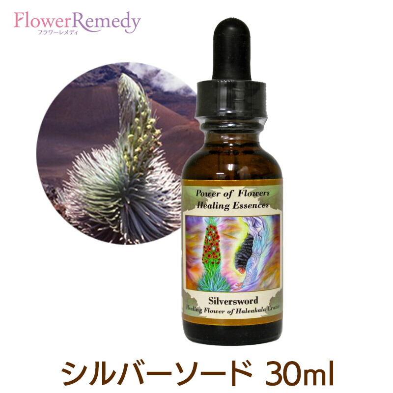 楽天市場】【お買い物マラソン最大2222円割引クーポン配布中】シルバー