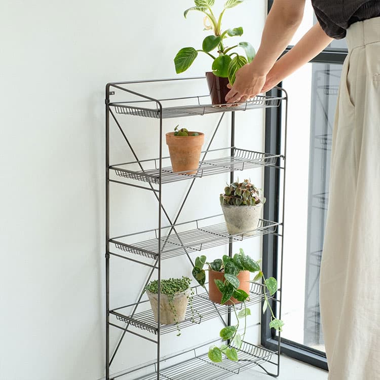 楽天市場】HABANA FOLDING SHELF ハバナフォールディングシェルフ 3段
