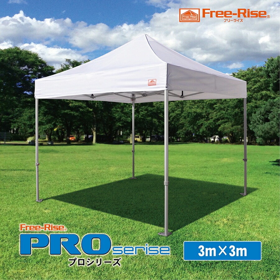 pro33-02.jpg