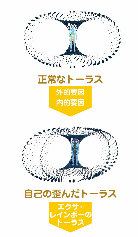 楽天市場】送料無料 波動 量子・素粒子共振共鳴スピーカー エクサ