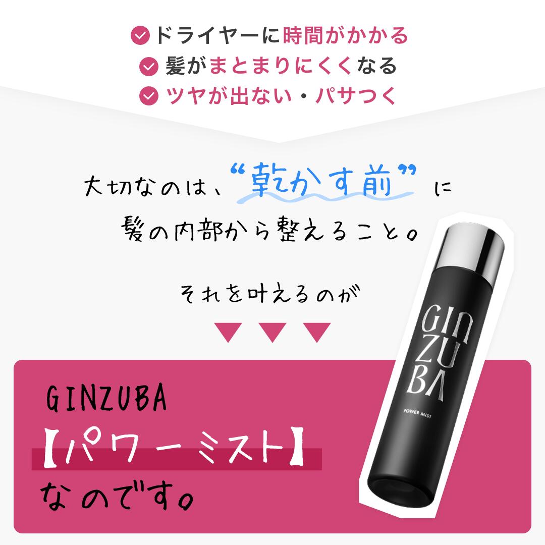 楽天市場】【GINZUBA公式】パワーミスト ドライヤー速乾 熱保護