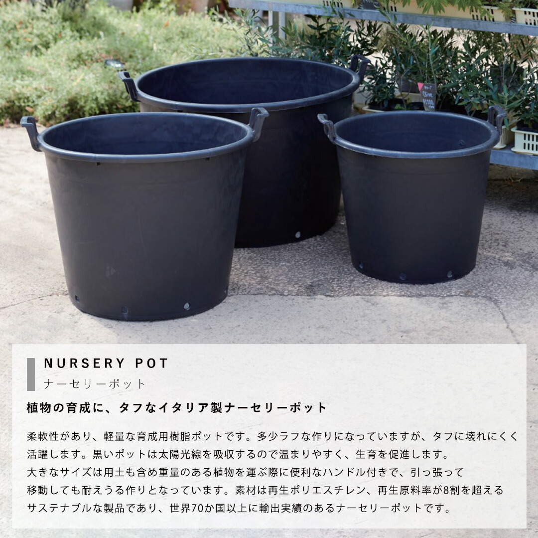 楽天市場】園芸 植木鉢 大型 育成用 ブラック ナーセリーポット