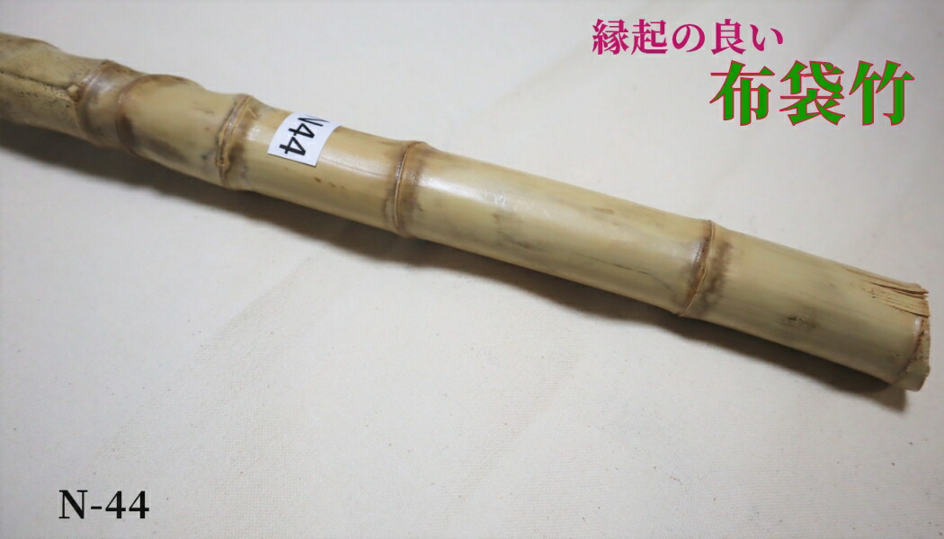 楽天市場】【布袋竹N44】 杖に最適（黄門さま気分） : はっぴ専門店