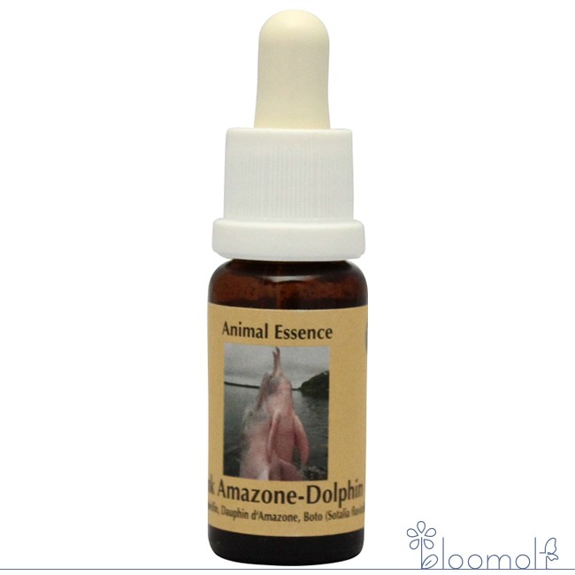 楽天市場】フラワーエッセンス パワーオブフラワーヒーリング