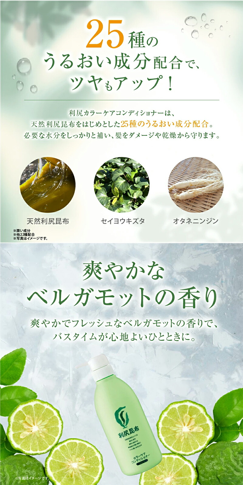 楽天市場】白髪用 利尻カラーケア コンディショナー お徳用500mlサイズ