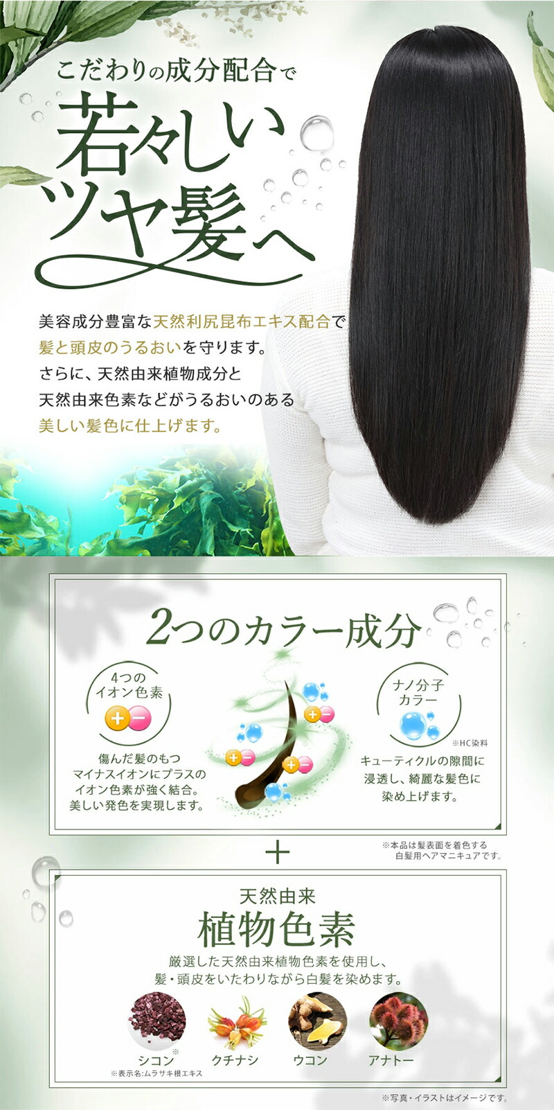 楽天市場】白髪用 利尻カラーシャンプー 200ml / ヘアカラー 利尻昆布