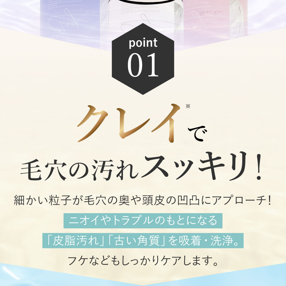 楽天市場】【クーポンで1点あたり1,602円〜】【公式】【2個セット