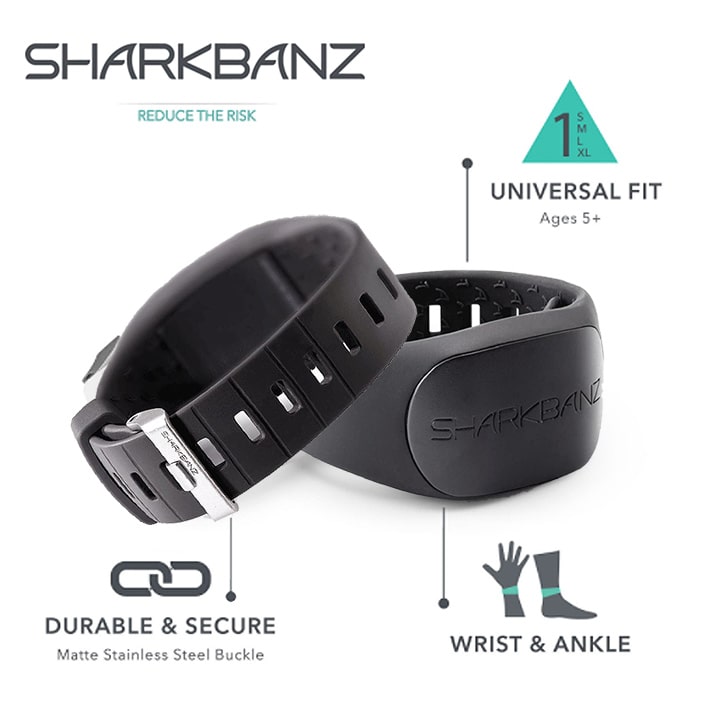 楽天市場】＼2/20 本日0のつく日 P4倍+2倍 最大10%OFF／ シャーク